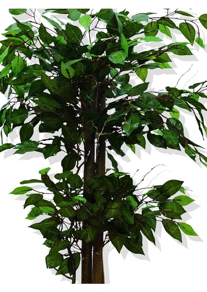 Ağaç Benjamin 100 cm Metal Saksıda fiyatları