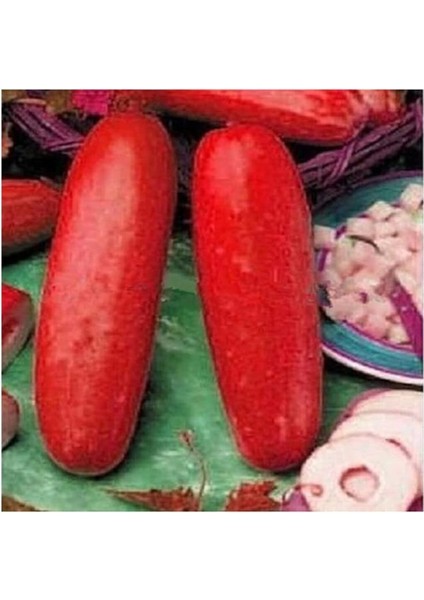 Ithal Kırmızı Salatalık Tohumu 10 Adet Tohum Red Cucumber fiyatları