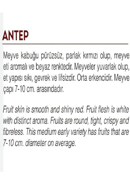 Tarım Ata Tohumu Yöresel Kırmızı Antep Turp 500 Adet Tohum fiyatları