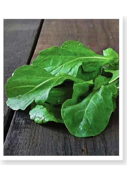 Tarım Ata Tohumu Yerli Roka Nuran 2000 Adet Tohum