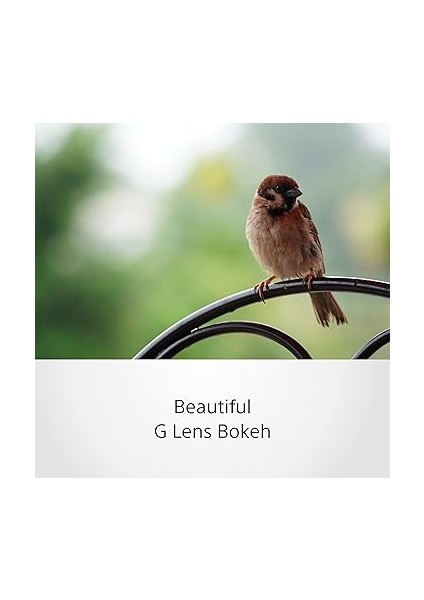 SEL70350G , 70-350MM F4.5-6.3 Tele Lens (Sony Eurasia Garantili) modelleri