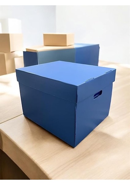 Kutusu 2 Adet Dekoratif Depolama Kutusu Oyuncak Kutusu Arşiv Depolama Organizer 2 Renk Kutu (Mavi-Kırmızı) indirimleri