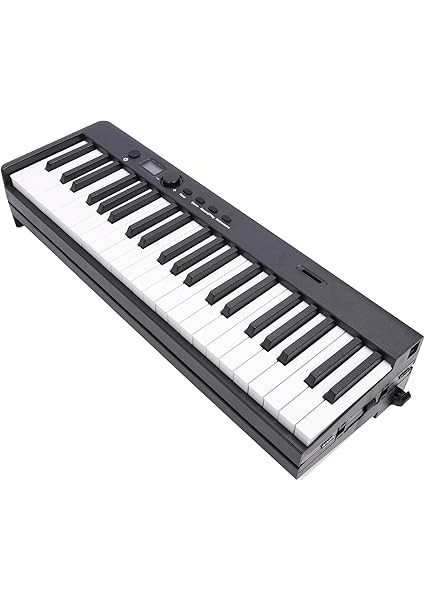 Katlanabilir Piyano Klavye, 88 Katlanabilir Piyano Tuşları Yeni Başlayanlar Için Sınıf Için Tutulması Kolay modelleri