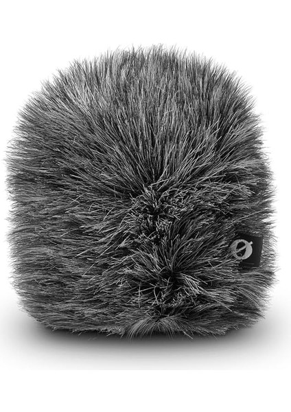 WS12 Stüdyo Aksesuarı