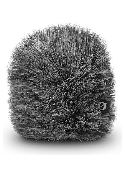 WS12 Stüdyo Aksesuarı fiyatları