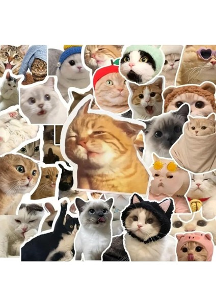 Major Selection 100'LI Çılgın Kedi Sticker Set Laptop Notebook Tablet Sticker Seti