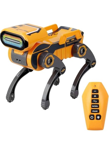 Express Sesli ve Işıklı Uzaktan Kumandalı Robot