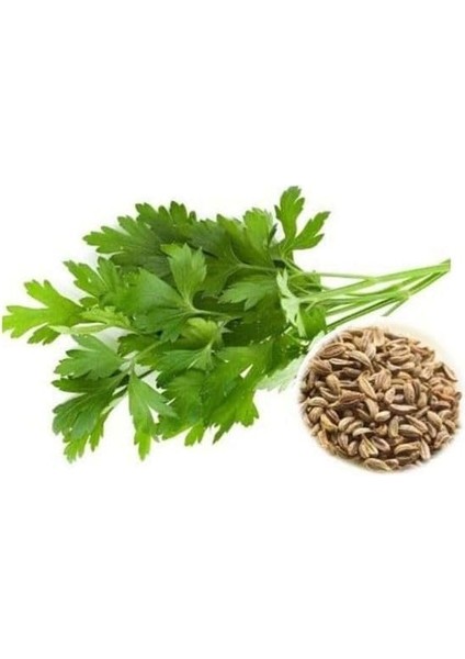 Iri Yaprak (Çoklu Tohum) - 10 Gram