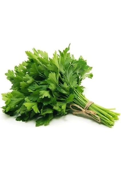 Iri Yaprak (Çoklu Tohum) - 10 Gram modelleri