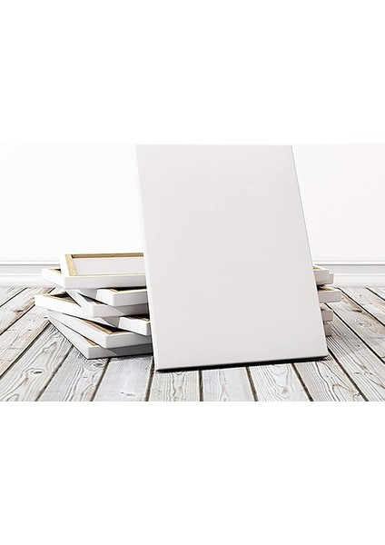 x 70 cm 3'lü Profesyonel Tuval Paketi