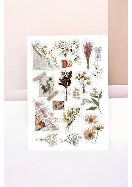 Major Selection 5 Li Brown Vintage Temalı Sticker Paketi/bullet Journal Defter Çıkartma Ajanda Laptop Etiket fırsatları