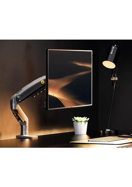 Bayou Nb F80 17-30" Amortisörlü 2-9 kg Monitör Standı fiyatları