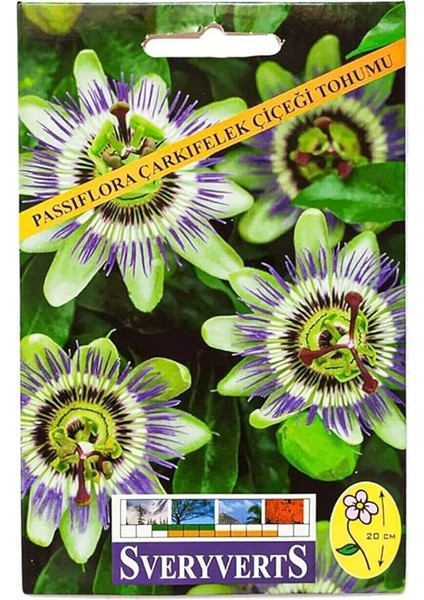 Passiflora Çarkıfelek Çiçeği Tohumu