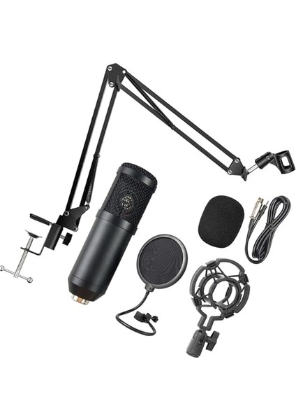 1 Takım Mikrofon Mikrafon Microphone Ses Yoğunlaştırıcı USB C Karaoke Alüminyum Alaşım Black