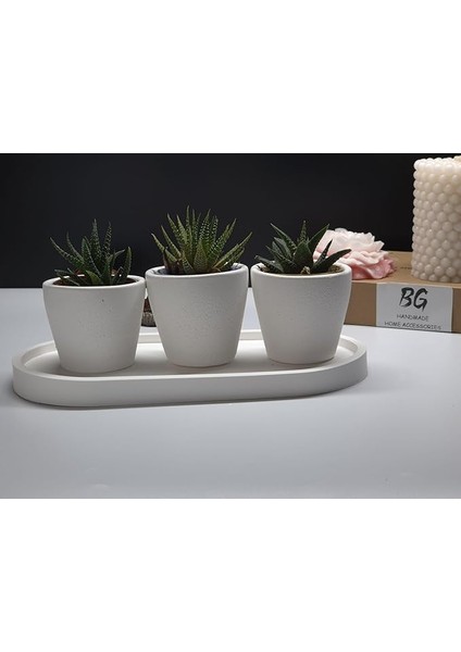 Sukulent Saksı Seti Tip-1