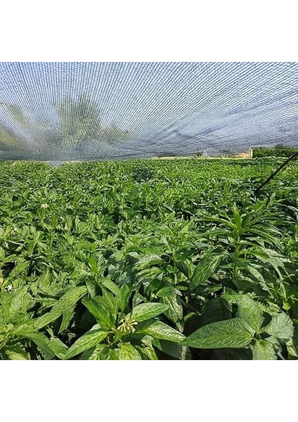 Sera Gölgelik File -%40'lık Gölgeleme - Kenarları Düz - Bahçe ve Kümes Çevirme Filesi - 1,5 M x 2 M fırsatları