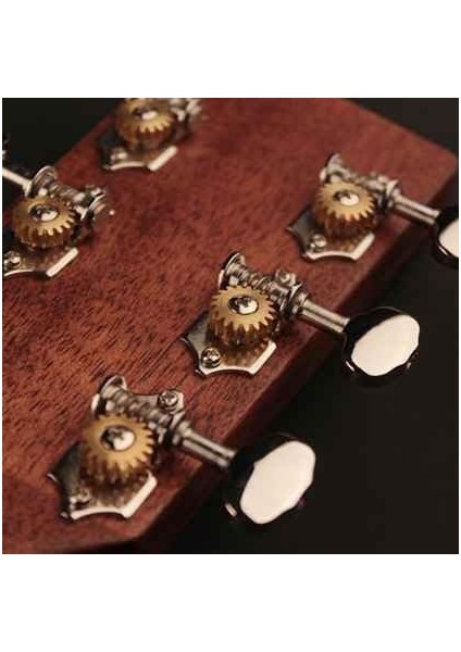 EARTH100NS Akustik Gitar modelleri