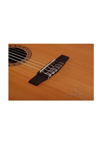 Cec5 Nat Elektro Klasik Gitar fırsatları