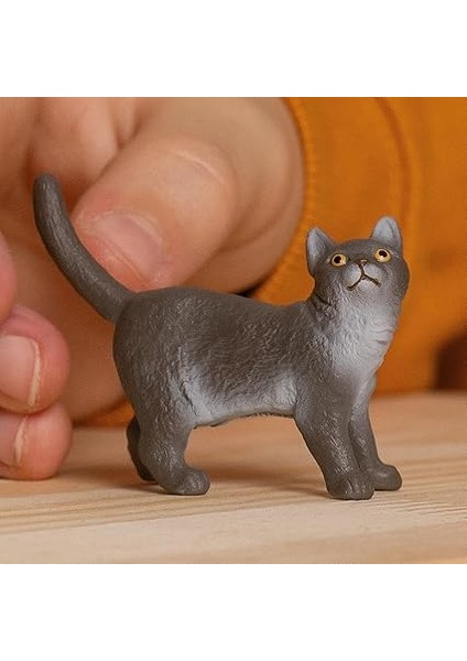 British Shorthair Kedi, Oyuncak Figür fiyatları