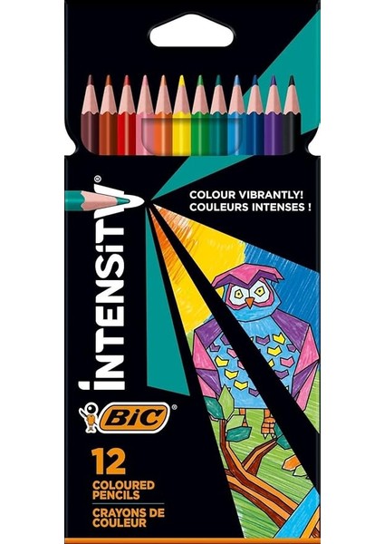 Intensity Kuru Boya Kalemi 12 Renk, 3.2mm Uç, Kolayca Açılır, Darbelere Dayanıklı Uç, Yetişkin Boyama Için Ideal