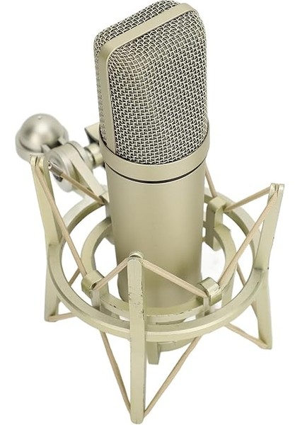 Için Mikrofon, Kardiyoid Kondenser Mikrofon fiyatları