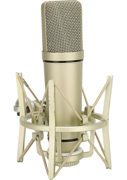 Için Mikrofon, Kardiyoid Kondenser Mikrofon indirimleri