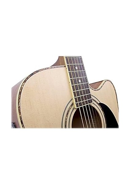 AD880CENS Elektro Akustik Gitar fırsatları