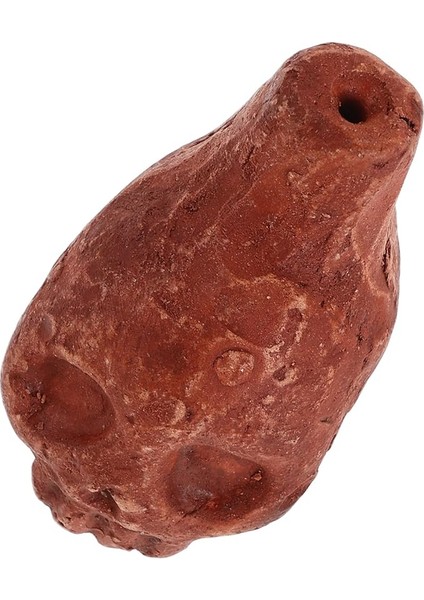 Halatlı Çocuklar Için Komik Çığlık Atan Kafatası Düdüğü Yüzme Futbol Eğitimi ve Cadılar Bayramı Partisi Süslemeleri Için Harika Açık Kahverengi