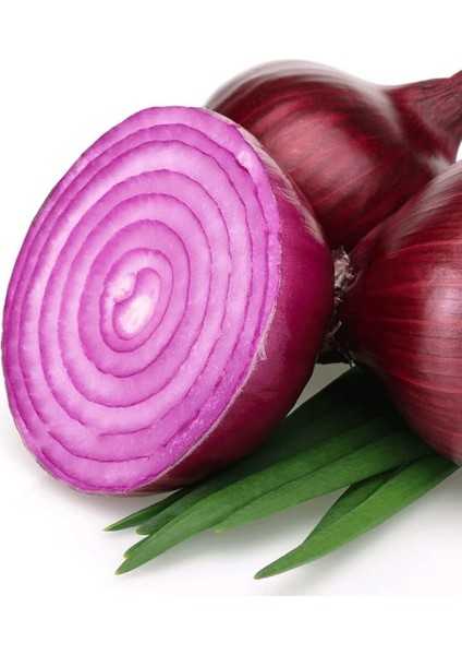 Garden Doğal Ithal Mor Soğan Tohumu 100 Ad. Tohum