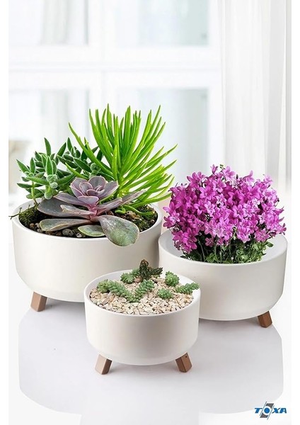 Saksı Süzgeçli Ayaklı Delikli Plastik Aranjman Sukulent Saksısı (Fildişi, 3 Boy)