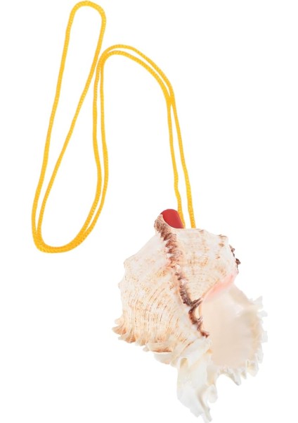 Doğal Kabuğu Konç Ihlalesi Boyutunda Müzikal Olarak Kullanılabilen Plaj Temalı Parti ve Düğün Dekorasyonu Için Idealdir Taşınabilir ve Eğlenceli