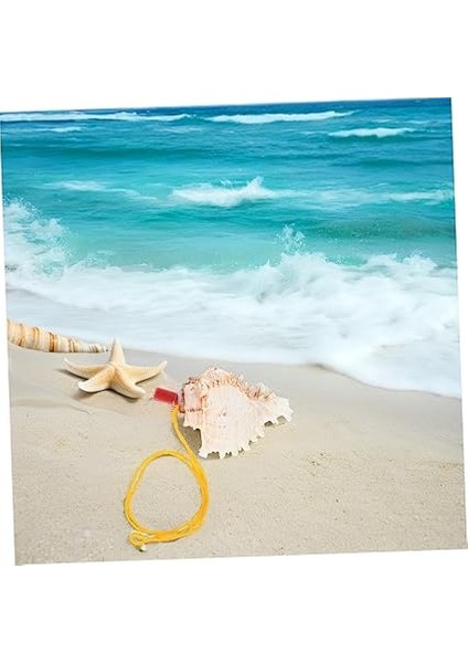 Doğal Kabuğu Konç Ihlalesi Boyutunda Müzikal Olarak Kullanılabilen Plaj Temalı Parti ve Düğün Dekorasyonu Için Idealdir Taşınabilir ve Eğlenceli modelleri