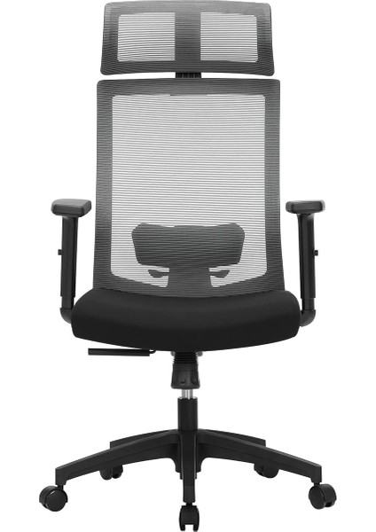 Ofis Koltuğu, File Kaplamalı Masa Sandalyesi, Ayarlanabilir Bel Desteği, Koltuk Başlığı ve Kolçaklar, 120'YE Kadar Ayarlanabilir Eğim Açısı, Gri OCN55BG, 6660 (97-105,5) cm