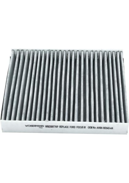 Karbonlu Polen Filtresi Ford Focus Iii 1.6 Ti 2010-2019 ile Uyumlu