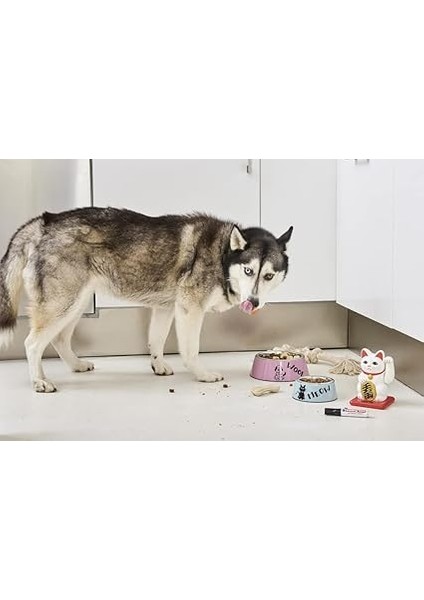 500 Permanent Markör - Kırmızı - 1 Kalem - 2-7 mm Kesik Ucu indirimleri