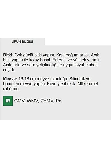 Tarım Ata Tohumu Yerli Esmer Siyah Kabak Tohumu 20 Adet Tohum fiyatları