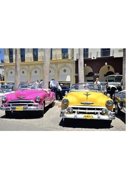 Rainbow 400 ml Sprey Boya Refrıgarator Whi modelleri