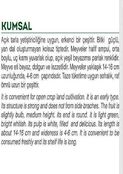 Tarım Ata Tohumu Yerli Ampul Kabak Kumsal 20 Adet Tohum fiyatları