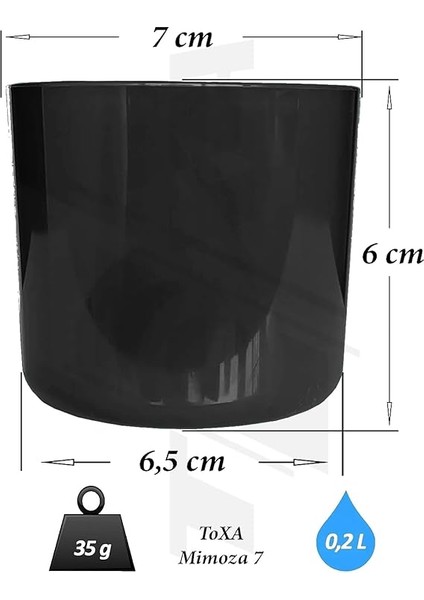 4 Adet Mimoza Saksı Küçük Boy Plastik Kaktüs Sukulent Saksısı (Siyah, 0.2 Litre) fiyatları