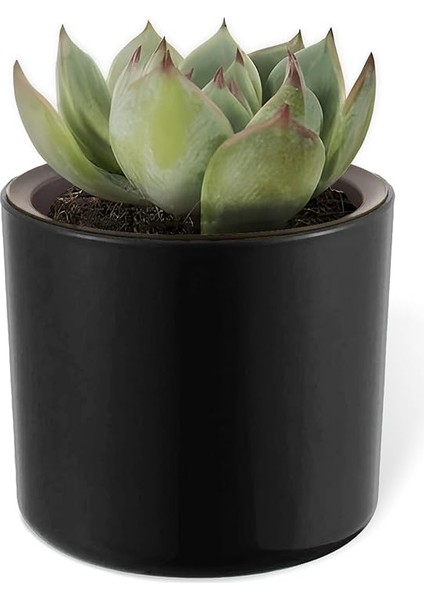 4 Adet Mimoza Saksı Küçük Boy Plastik Kaktüs Sukulent Saksısı (Siyah, 0.2 Litre) fırsatları