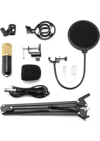 BM800 Profesyonel Kondansatör Mikrofon Podcast Canlı Yayın Ekipmanı USB Mikrofon Mikrofon Seti Kol Standlı Stüdyo Mikrofonu Stüdyo Canlı Yayın ve Yayın Için Müzik Ekipmanı Altın fiyatları