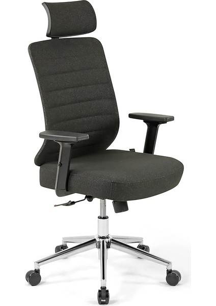 Thunder Pro Fab Yönetici Koltuğu | Ofis Sandalyesi