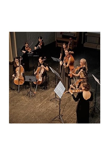 Müzik Sayfası Klasörü, 60 Sayfa A4 Boyutlu Saklanan Belgeler Tutucu Çanta, 1 Paket Yapışkan Notlu, Su Geçirmez, Gevşek Yaprak Şeffaf, Müzisyenler ve Gruplar Için Boş Plastik Konser Koro Klasörü indirimleri