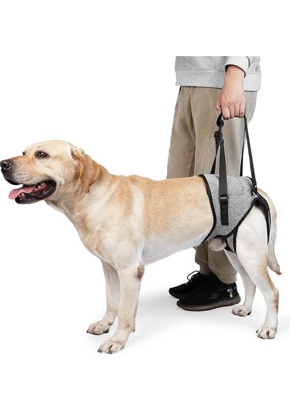 Köpekler Için Köpek Askısı Arka Bacak Ayarlanabilir Köpek Kaldırma Tasmaları Yürüyüş/tırmanma Için Evcil Hayvan Yardımcı Askıları Yaşlı, Engelli Köpekler Için