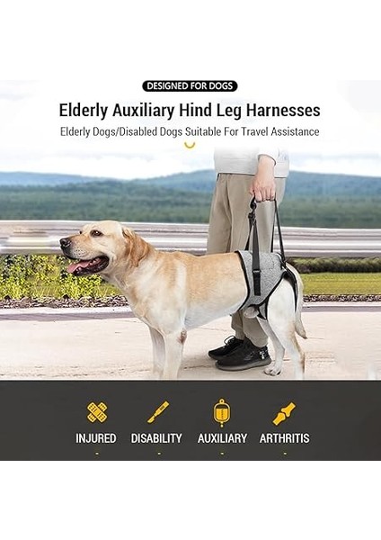 Köpekler Için Köpek Askısı Arka Bacak Ayarlanabilir Köpek Kaldırma Tasmaları Yürüyüş/tırmanma Için Evcil Hayvan Yardımcı Askıları Yaşlı, Engelli Köpekler Için fırsatları