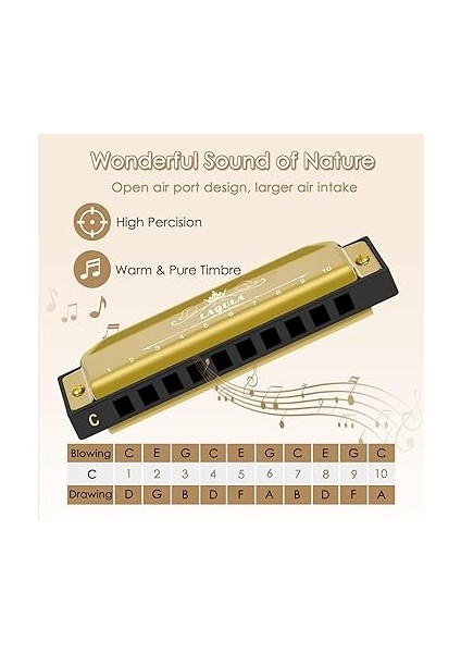 Diatonik Blues Mızıka, C Blues Harp Mızıka, 10 Delikli, Koruyucu Kılıflı, Standart Mızıka, Yetişkinler, Profesyoneller, Yeni Başlayanlar ve Öğrenciler Için Hediye (Altın) modelleri
