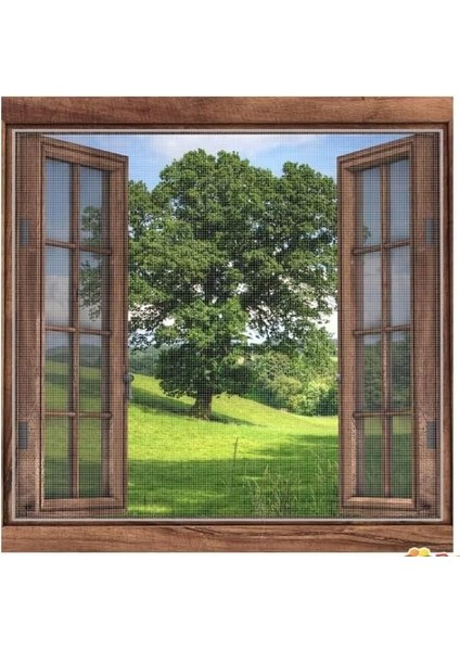 Çift Kanat Sineklik