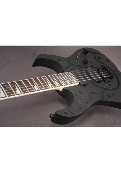 RG420EG Isl Elektro Gitar fırsatları
