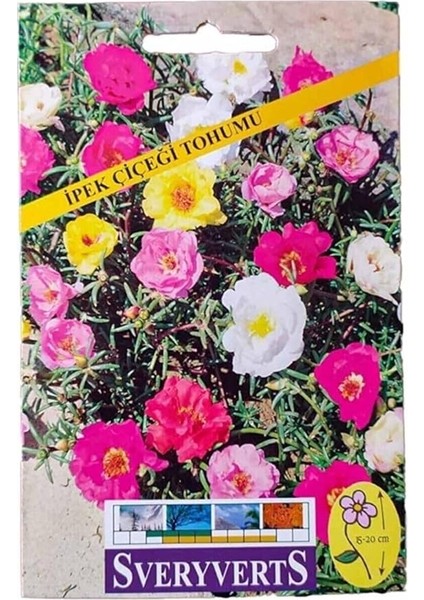 Ipek Çiçeği Tohumu