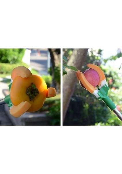 Dal Meyve Toplama Aleti, Hasat Toplama Aparatı, 150 cm fırsatları